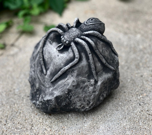 Scary black spider