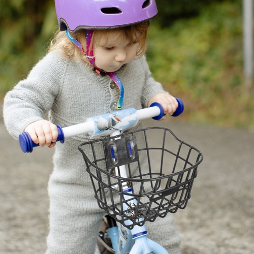 Tricycle basket bike - basket, cycling