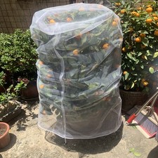 Garden Plant Tree Fruit Cover
