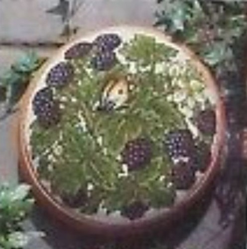 Rsn blackberry footstool - rsn, /
