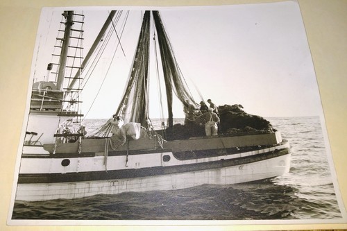 Vintage commercial fishermen - commercial,