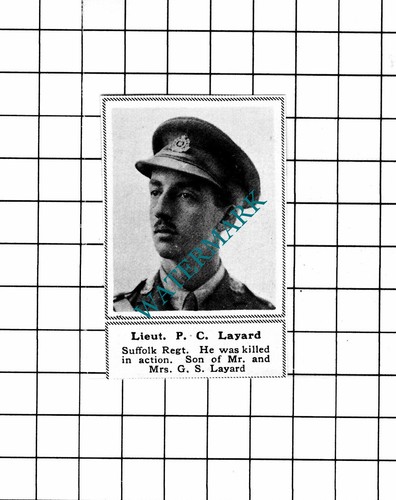 Layard suffolk regiment - suffolk,