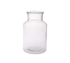 Clear Glass Apothecary Bottle Vase