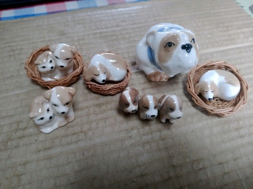 Collection szeiler dogs - of,