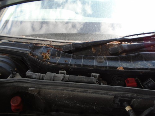 Mercedes 560sel w126 - 560sel, front