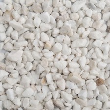 Suregreen Polar White