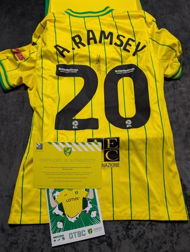 Matchworn norwich city - matchworn,