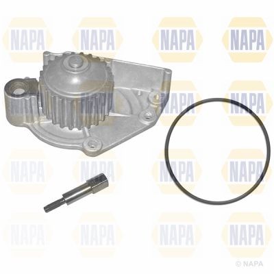 Napa water pump for - pump, 120