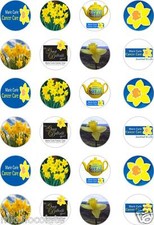 24x PRECUT MARIE CURIE
