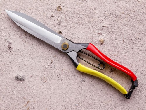 Tobisho topiary shears 270mm - topiary,