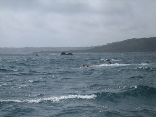 Photo 6x4 carn - photo, the
