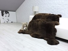 Bear Skin Rug: Giant Real