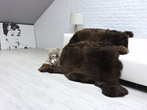 Bear skin rug - skin, giant