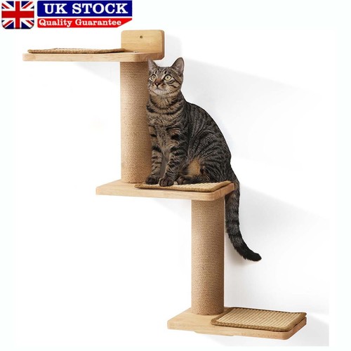 Cat climbing shelf wall - cat,