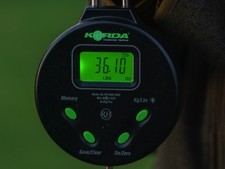 Korda digital fishing scale - korda,