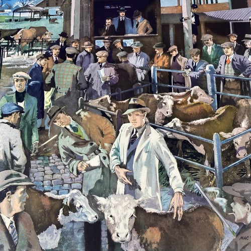 Rural cattle market - rural, in