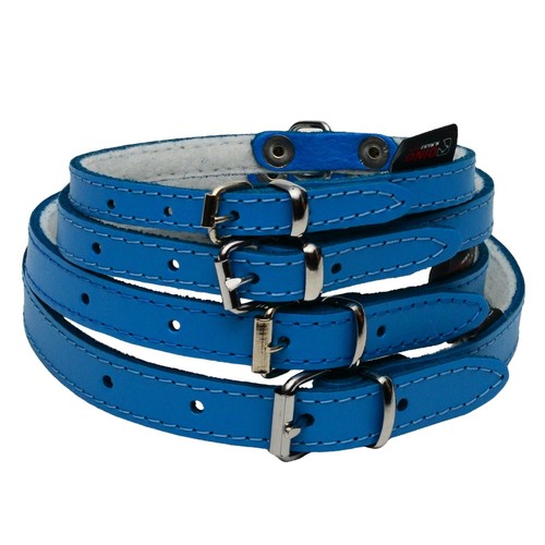 Blue dog puppy real leather - blue,