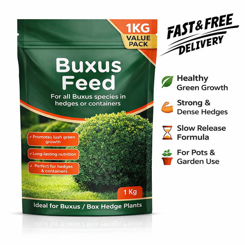 Buxus feed 1kg - feed, slow