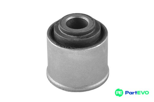Tedgum front rear - tedgum,
