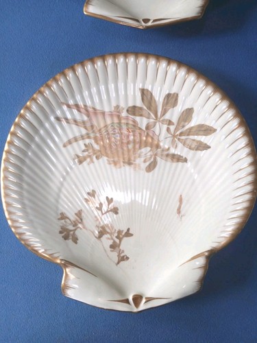 Wedgwood shell scallop dish - shell,