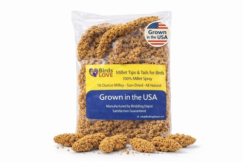 Birds love 1lb tips tails - birds,