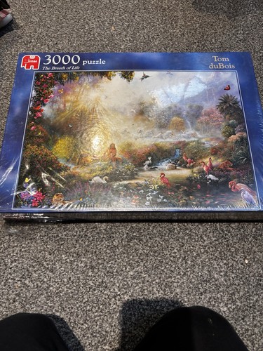 Jumbo 3000 piece jigsaw - 3000, the