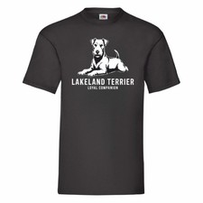 Lakeland Terrier Loyal