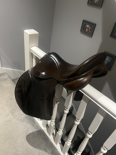 Hawk event halsall saddle - hawk,