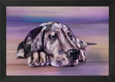 Great Dane Puppy Framed Wall