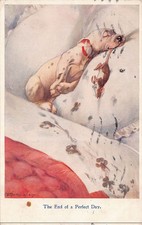 Bonzo The Of A Perfect Day