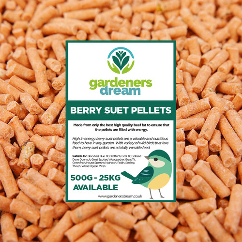 Gardenersdream berry suet - gardenersdream,