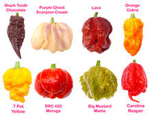 Worlds HOTTEST Chilli - 40