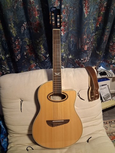 Nylon electroacoustic guitar - nylon,