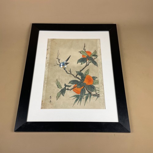 Silk oriental bird - bird, picture