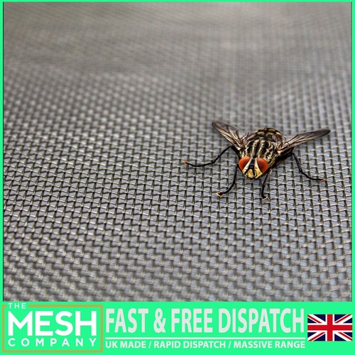 The mesh company fly - the,