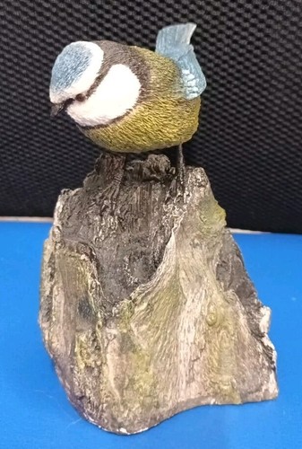 Arden blue tit - arden, bird