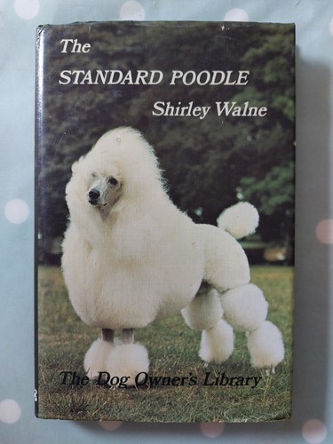 The standard poodle shirley - standard,