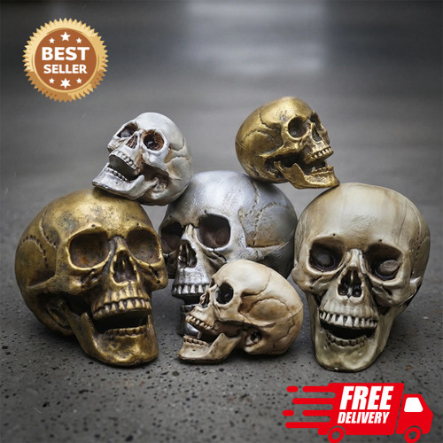 Realistic plastic skull head - plastic,