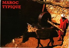 CPM AK MAROC Homme Berbere