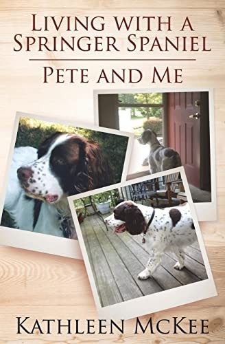 Living with a springer - living,