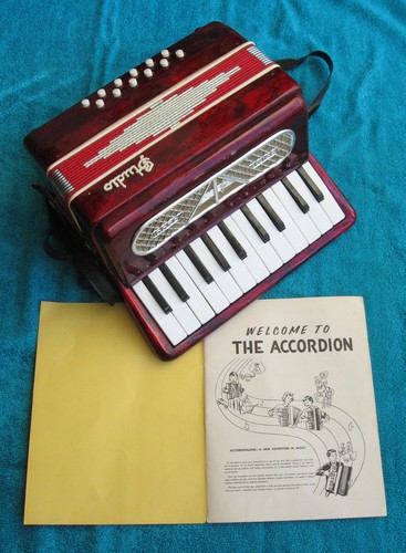 Vintage studio accordian - studio,