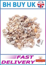 40g AQUARIUM SNAIL SHELLS