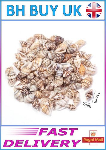 40g aquarium snail shells - 40g,