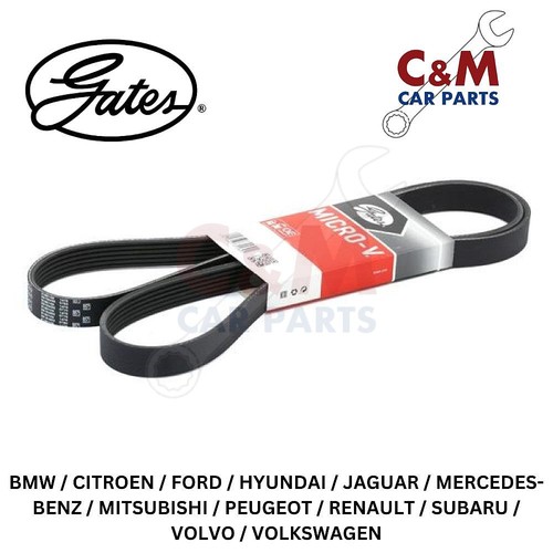 Gates alternator drive - drive, belt