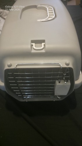 Plastic pet carrier cat - pet,