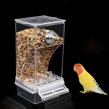 Bird Feeders Automatic Parrot