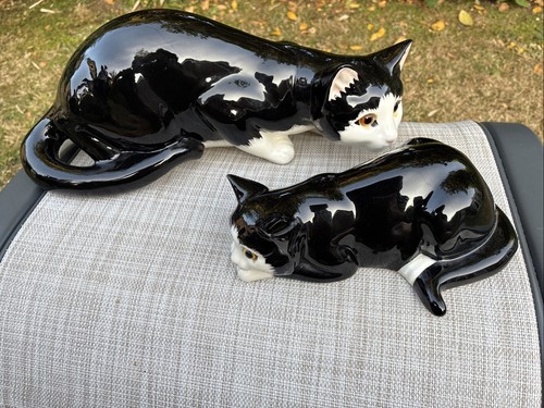 Just cats co - &,