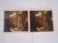 Stereoscopic Plate of the