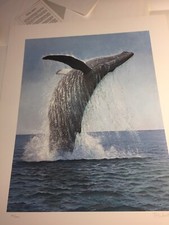 Peter Scott,Pegasus.Humpback Whale, 53/1000,1987.published By Mill Pond Press