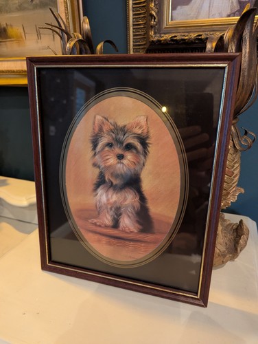 Framed vintage print yorkie - framed,